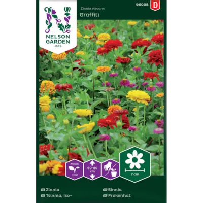 Frø sinnia Graffiti