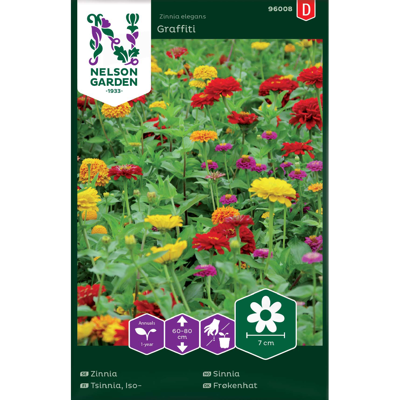 Frø sinnia Graffiti