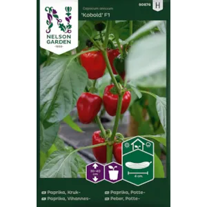 Frø pottepaprika Kobold