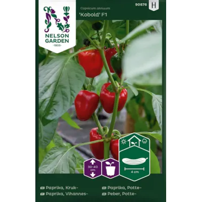 Frø pottepaprika Kobold