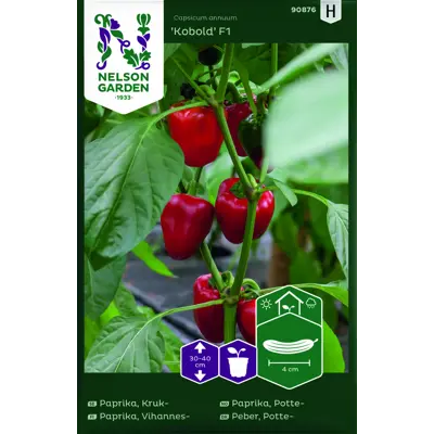 Frø pottepaprika Kobold