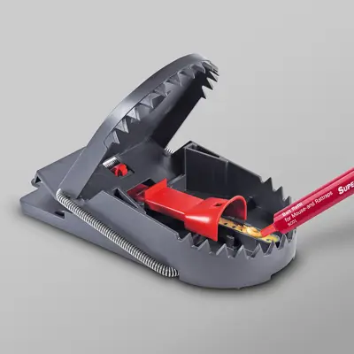 Supercat lokkemat musefelle 2 stk, bilde 2