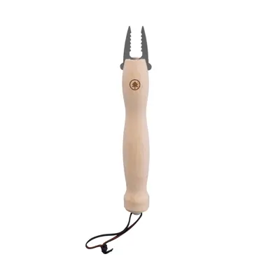 Grillspyd teleskop, bilde 2