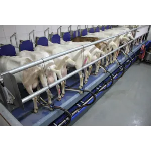 Melkeanlegg lavtliggende