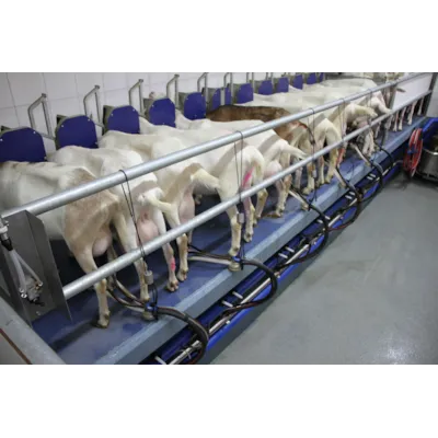 Melkeanlegg lavtliggende, bilde 2