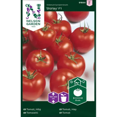 Frø tomat høy Shirley