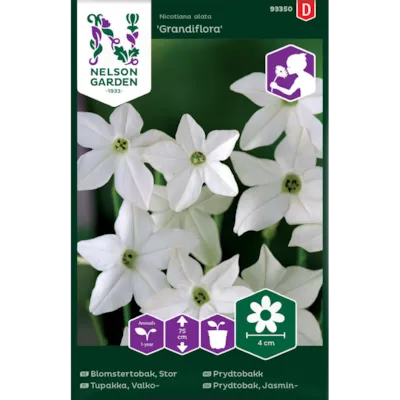 Frø prydtobakk Grandiflora
