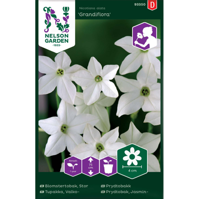 Frø prydtobakk Grandiflora