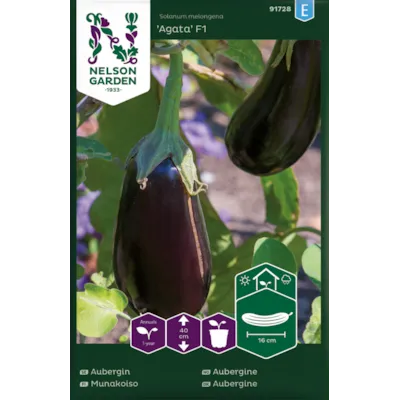 Frø aubergine Agata