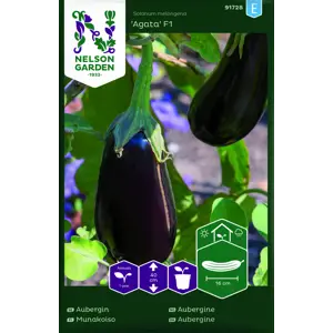 Frø aubergine Agata