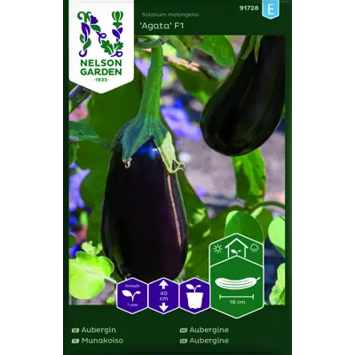 Frø aubergine Agata