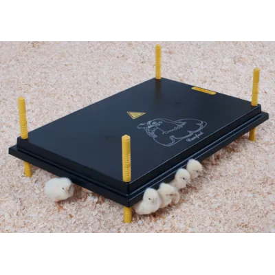 Kyllingmor Kumo 60x40 cm