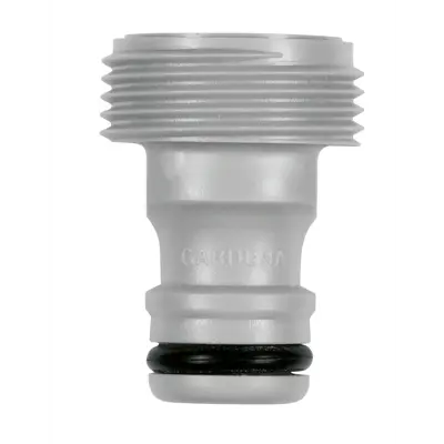 Overgangsstykke europeiske gjenger