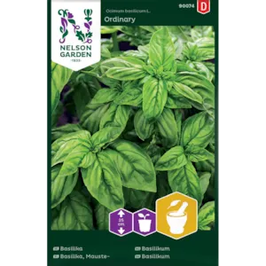Frø basilikum Ordinary