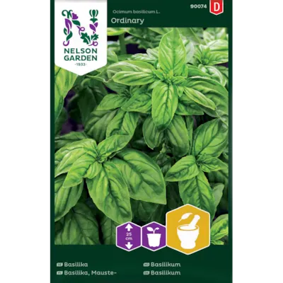 Frø basilikum Ordinary