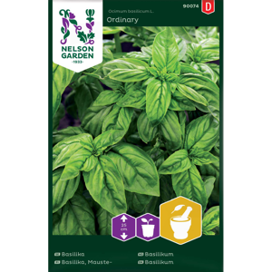 Frø basilikum Ordinary