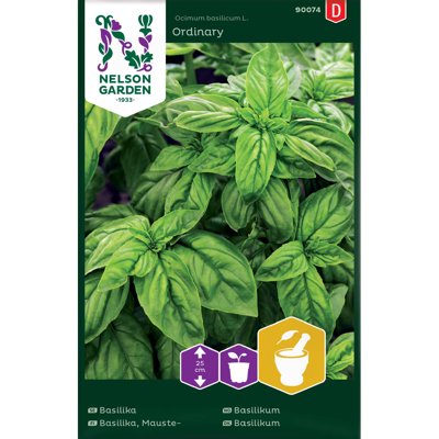 Frø basilikum Ordinary