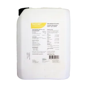 E vitamintilskudd Succes