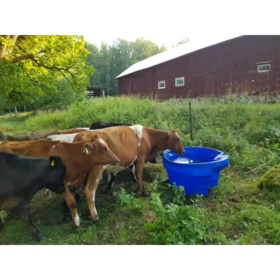 Beitekar uten ventil, bilde 2