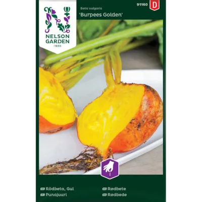 Frø rødbete Burpees Golden