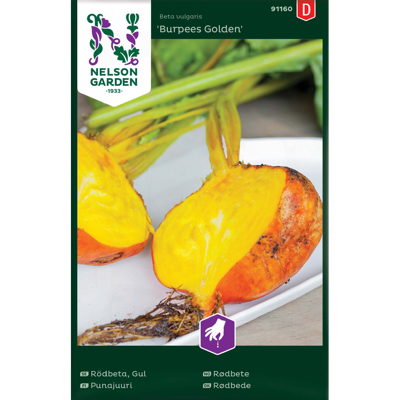Frø rødbete Burpees Golden