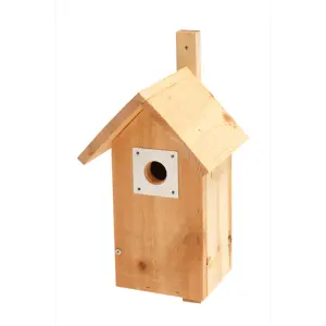 Fuglekasse for småfugl