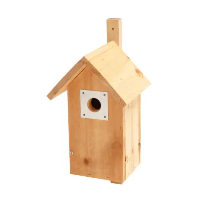 Fuglekasse for småfugl