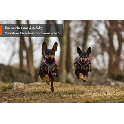 Hundesele Line Harness 5.0 lilla, bilde 7