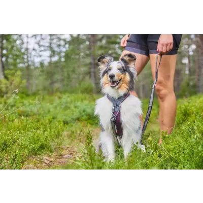 Hundesele Line Harness 5.0 lilla, bilde 5