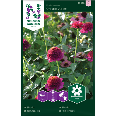 Frø sinnia Cresto! Violet