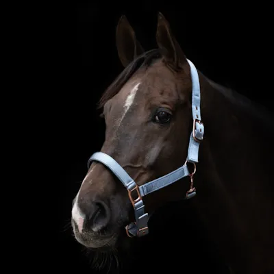 Grime Satin lysblå, bilde 2