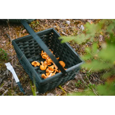 Soppkniv med børste, bilde 6