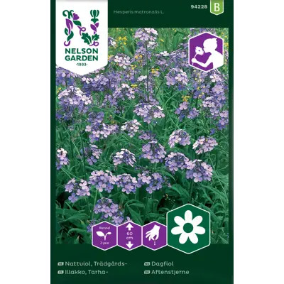 Frø dagfiol, bilde 2