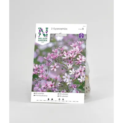 Vårløk brudeslør rosa