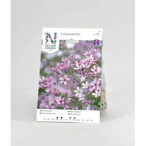 Vårløk brudeslør rosa