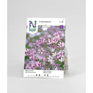 Vårløk brudeslør rosa