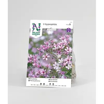 Vårløk brudeslør rosa