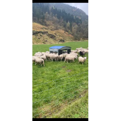 Rundballehekk for sau, bilde 6