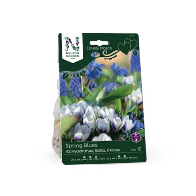 Høstløk blanding Spring Blues