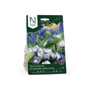 Høstløk blanding Spring Blues