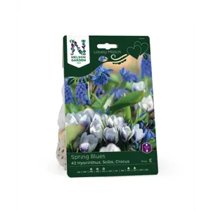 Høstløk blanding Spring Blues