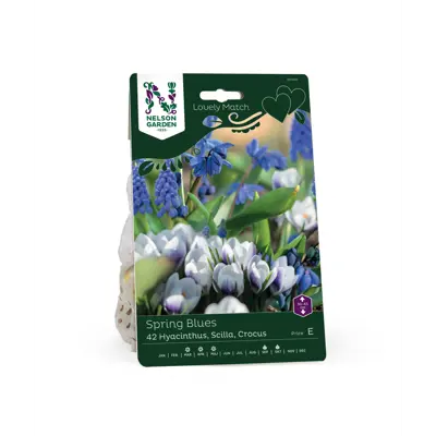 Høstløk blanding Spring Blues