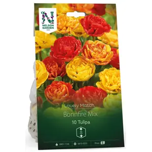 Høstløk tulipan Bonnfire Mix LM