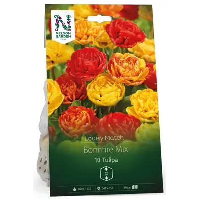 Høstløk tulipan Bonnfire Mix LM