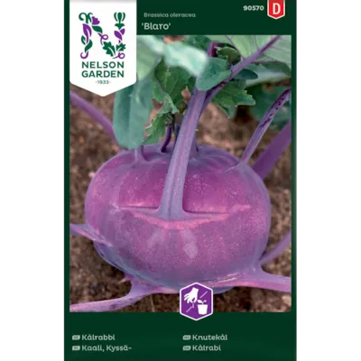 Frø knutekål Blaro