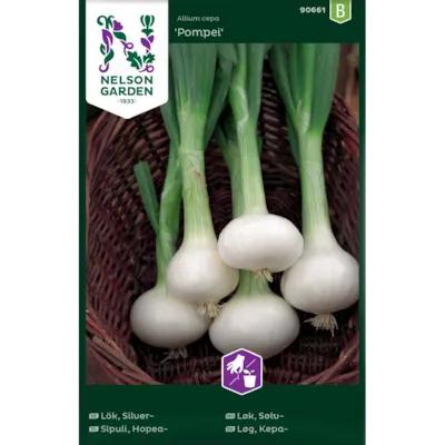 Frø sølvløk Pompei