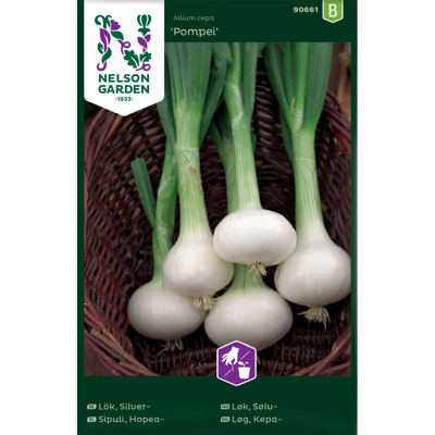 Frø sølvløk Pompei