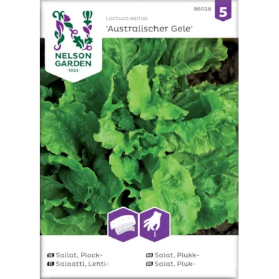 Frø plukksalat Australischer Gele