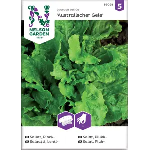 Frø plukksalat Australischer Gele