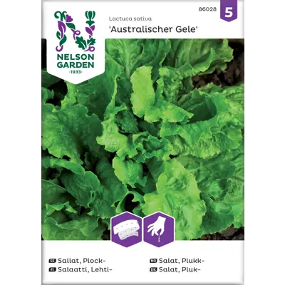 Frø plukksalat Australischer Gele